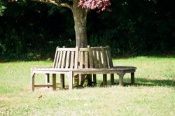 Recreation Ground Seating